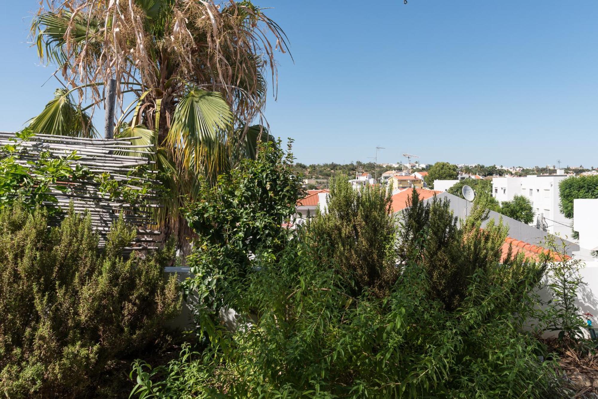 Altanure Almatere - Food Forest Boutique Stay Tavira Exteriör bild