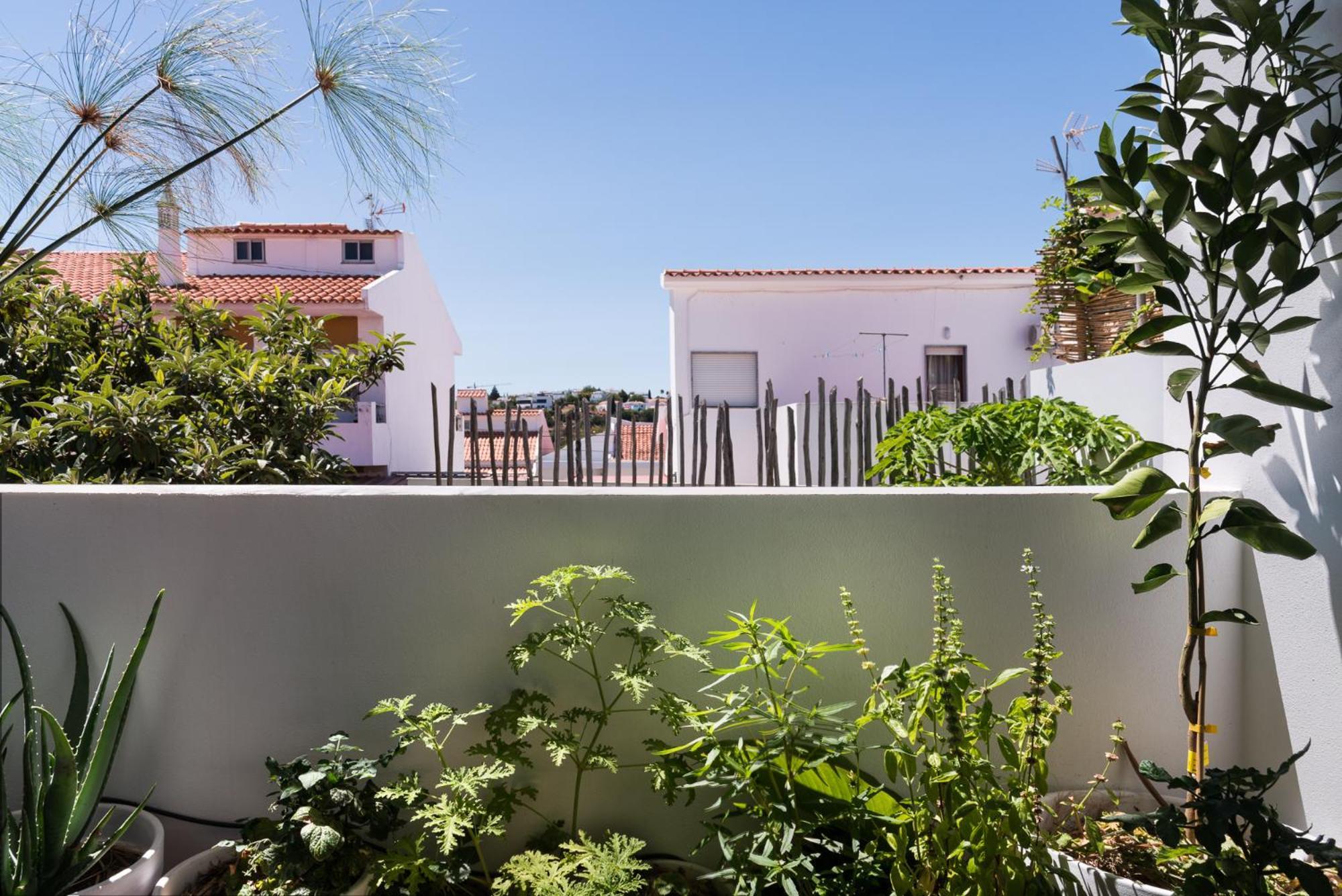 Altanure Almatere - Food Forest Boutique Stay Tavira Exteriör bild